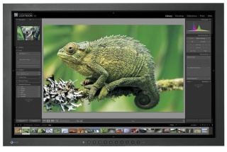 Monitor EIZO 24" CG241W 1920x1200p VA bez uchwytu A