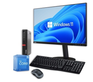 Zestaw komputerowy LENOVO M920Q Core i5 9GEN 16GB 512SSD Win11 + Monitor T24M-10 A
